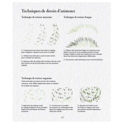 Les Souris du BDessiner la flore & la faune - 20 superbes tutoriels en pas à pasuisson-aux-Mûres, les albums de coloriage - Colo