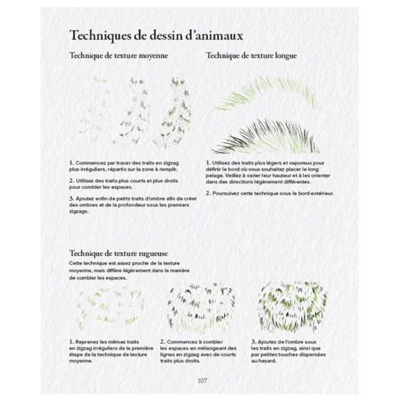 Les Souris du BDessiner la flore & la faune - 20 superbes tutoriels en pas à pasuisson-aux-Mûres, les albums de coloriage - Colo