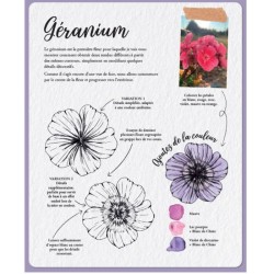 Les Souris du BDessiner la flore & la faune - 20 superbes tutoriels en pas à pasuisson-aux-Mûres, les albums de coloriage - Colo
