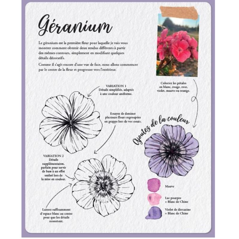 Les Souris du BDessiner la flore & la faune - 20 superbes tutoriels en pas à pasuisson-aux-Mûres, les albums de coloriage - Colo