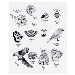 Les Souris du BDessiner la flore & la faune - 20 superbes tutoriels en pas à pasuisson-aux-Mûres, les albums de coloriage - Colo