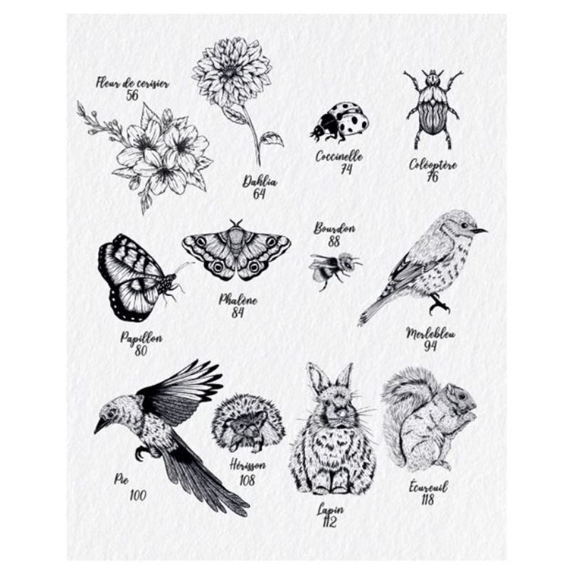 Les Souris du BDessiner la flore & la faune - 20 superbes tutoriels en pas à pasuisson-aux-Mûres, les albums de coloriage - Colo