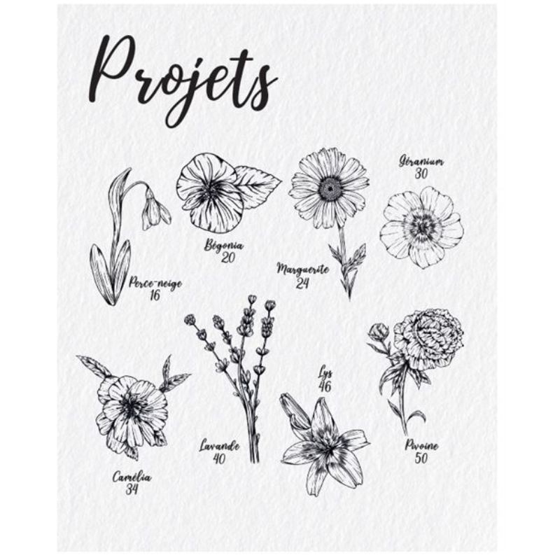 Les Souris du BDessiner la flore & la faune - 20 superbes tutoriels en pas à pasuisson-aux-Mûres, les albums de coloriage - Colo