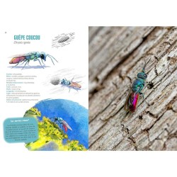 Empreintes de la faune sauvage