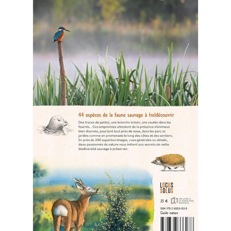 Empreintes de la faune sauvage