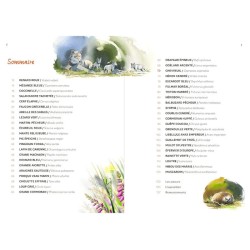 Empreintes de la faune sauvage