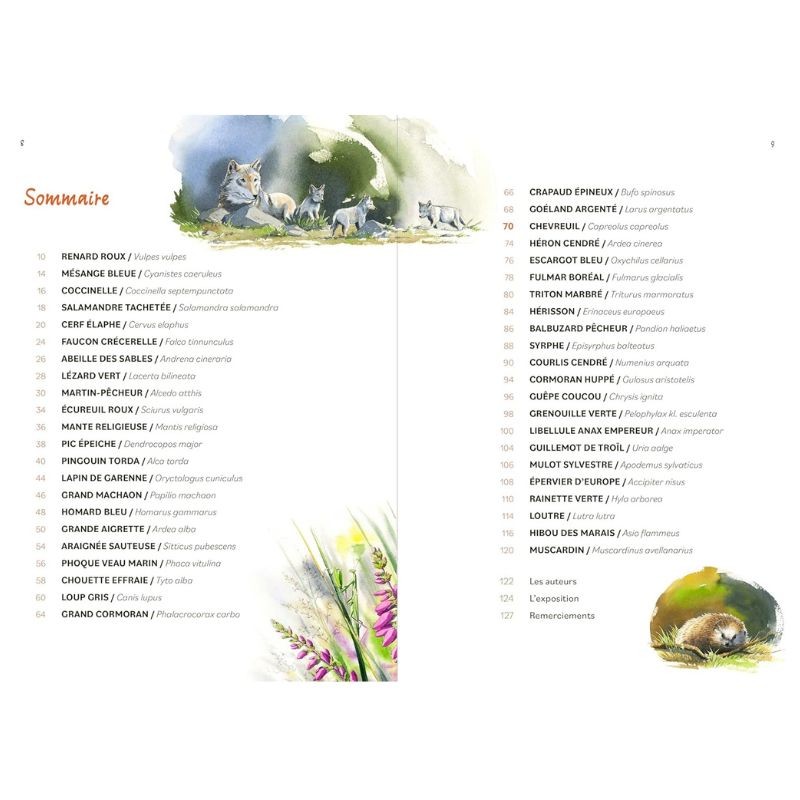 Empreintes de la faune sauvage
