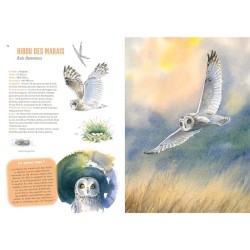 Empreintes de la faune sauvage