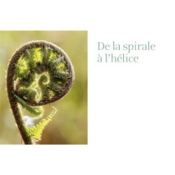La géométrie dans le monde végétal