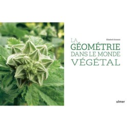 La géométrie dans le monde végétal