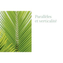 La géométrie dans le monde végétal