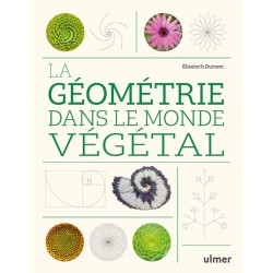 La géométrie dans le monde végétal
