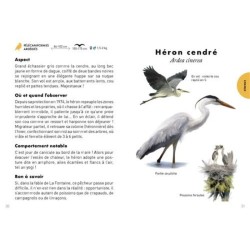Le Petit Guide de la mare - 70 espèces à observer