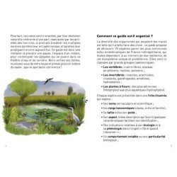 Le Petit Guide de la mare - 70 espèces à observer