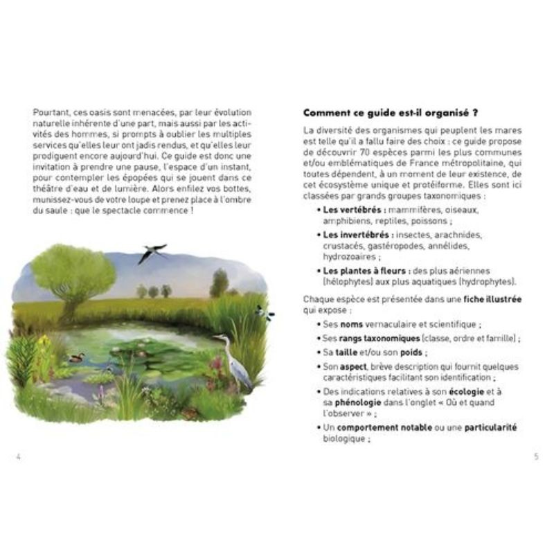 Le Petit Guide de la mare - 70 espèces à observer