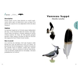 Le petit guide des plumes - 70 trouvailles à identifier