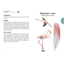 Le petit guide des plumes - 70 trouvailles à identifier