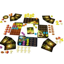Jeu "Wonder Woods"
