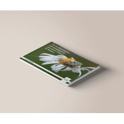 Clé de détermination photographique des principales araignées de Belgique