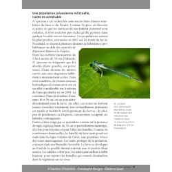 À hauteur d'insectes - Un tour de France naturaliste