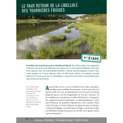 À hauteur d'insectes - Un tour de France naturaliste