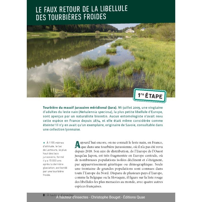 À hauteur d'insectes - Un tour de France naturaliste