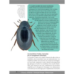 À hauteur d'insectes - Un tour de France naturaliste