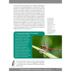 À hauteur d'insectes - Un tour de France naturaliste