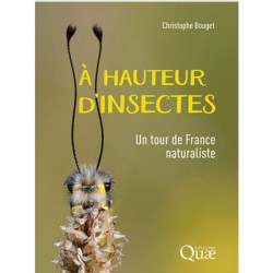 À hauteur d'insectes - Un tour de France naturaliste