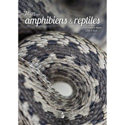 Atlas des amphibiens et reptiles de Provence-Alpes-Côte d'Azur