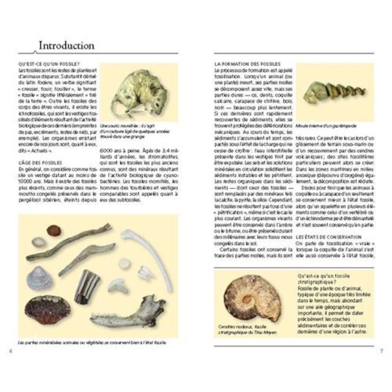 Guide des fossiles - 400 espèces animales et végétales