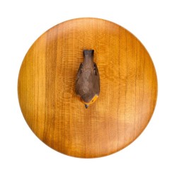 DecoBird Boîte en bois Rouge-gorge