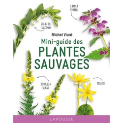 Mini-guide des plantes sauvages