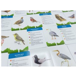 De slimste vogel - Een kaartspel voor jong en oud