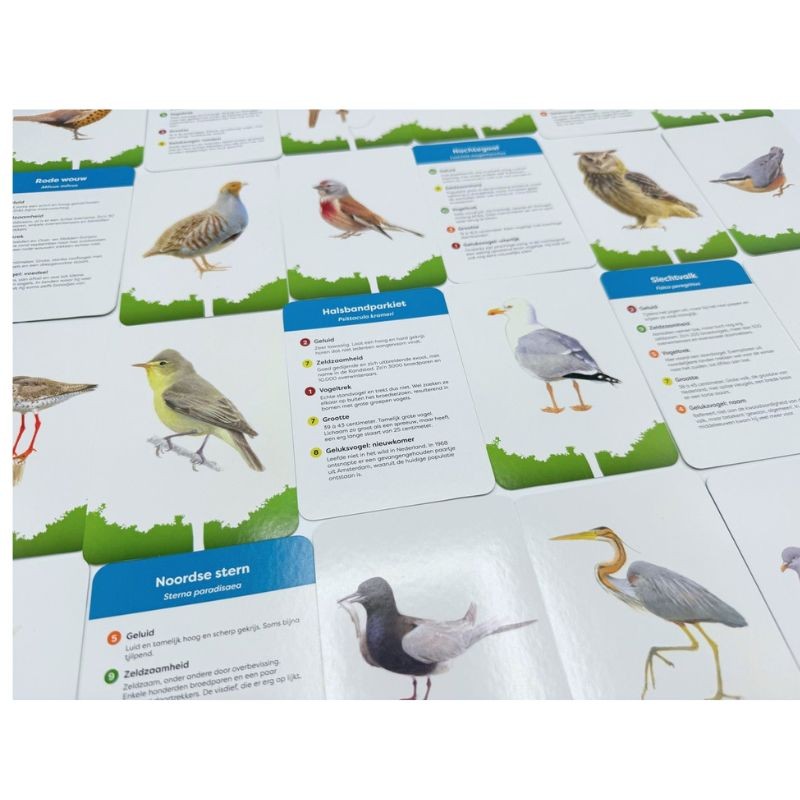 De slimste vogel - Een kaartspel voor jong en oud