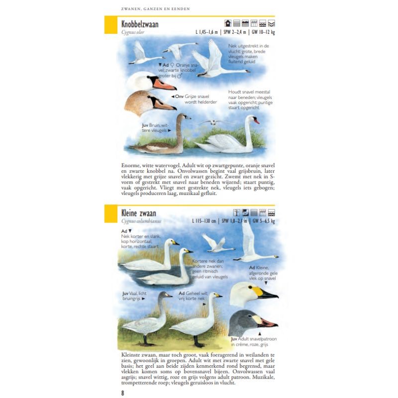 Hayman's zakgids Vogels