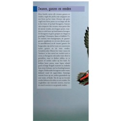 Hayman's zakgids Vogels