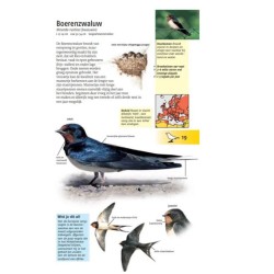 Welke vogel is dat ? ANWB Vogelgids