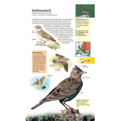 Welke vogel is dat ? ANWB Vogelgids