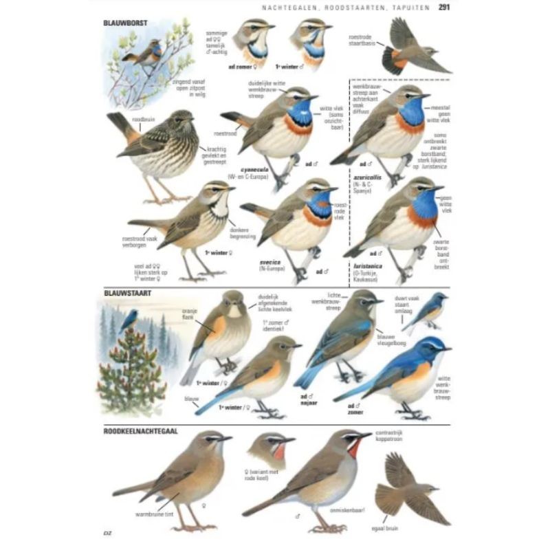 Vogelgids van Europa - ANWB