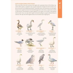 De gewiekste vogelgids