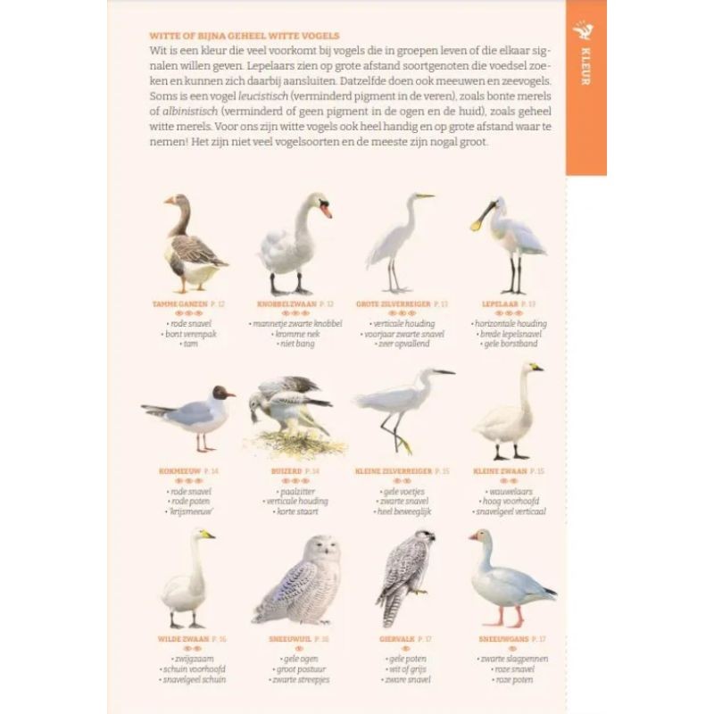 De gewiekste vogelgids