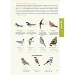 De gewiekste vogelgids