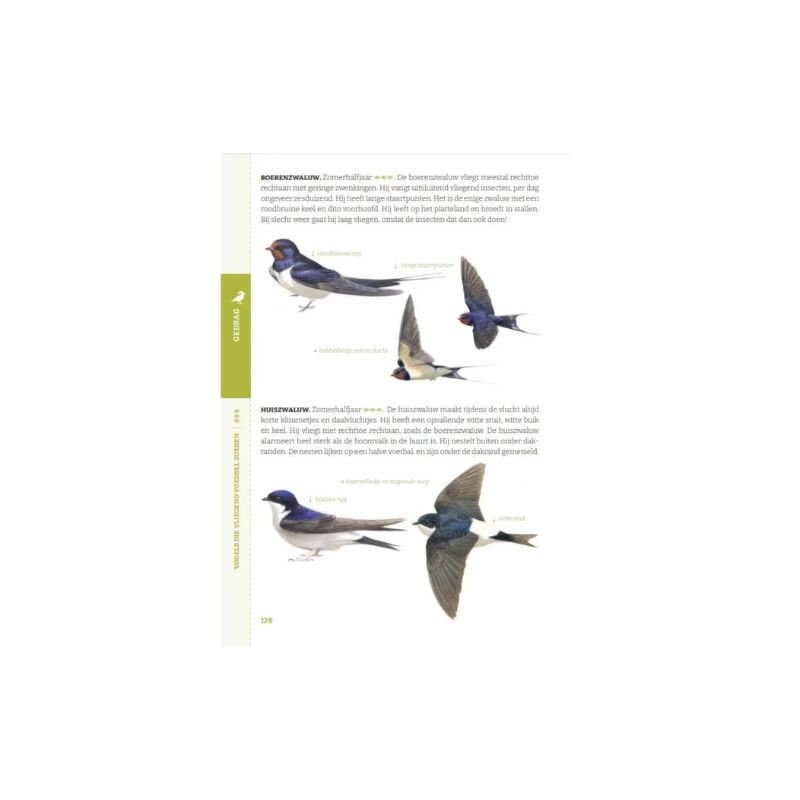 De gewiekste vogelgids