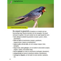 Vogelgids voor kids