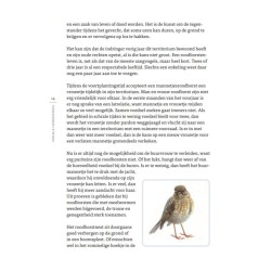 Vogels herkennen
