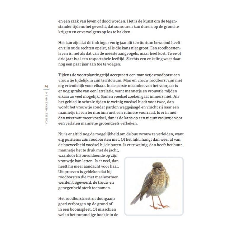 Vogels herkennen