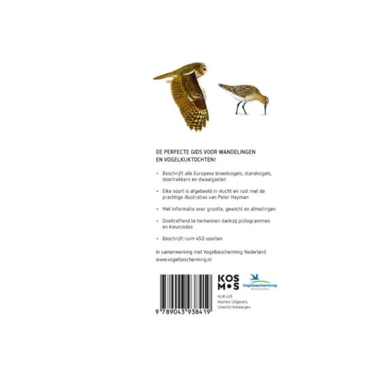 Hayman's zakgids Vogels