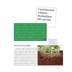 80 clés pour comprenRacines - Des plantes aux écosystèmesdre les sols