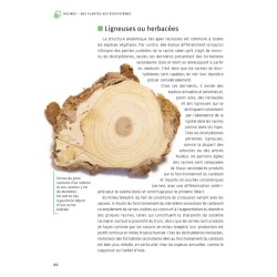 80 clés pour comprenRacines - Des plantes aux écosystèmesdre les sols